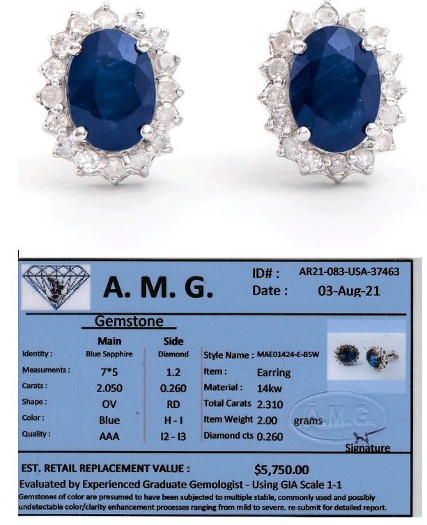 LIVE AUCTION ONLY: Blue Sapphire & Diamond Earrings